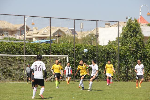 英媒：热刺最大的问题是列维，他根本不在乎输赢